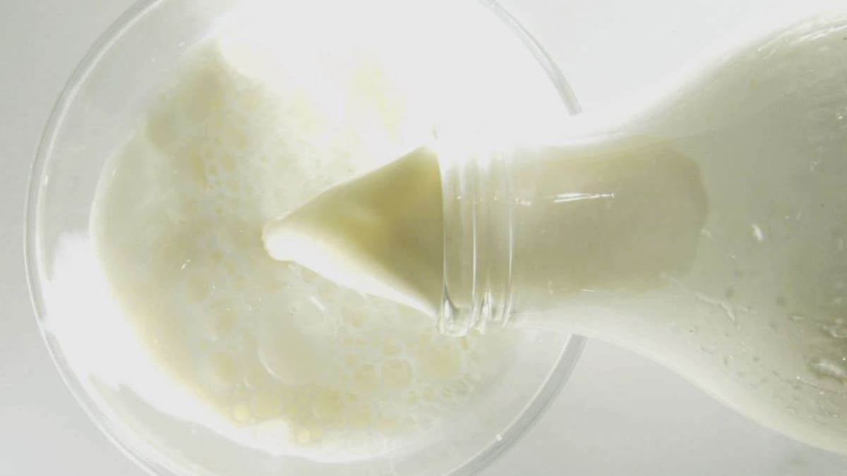 Dispensadora de leche para personas pobres diseñan universitarios