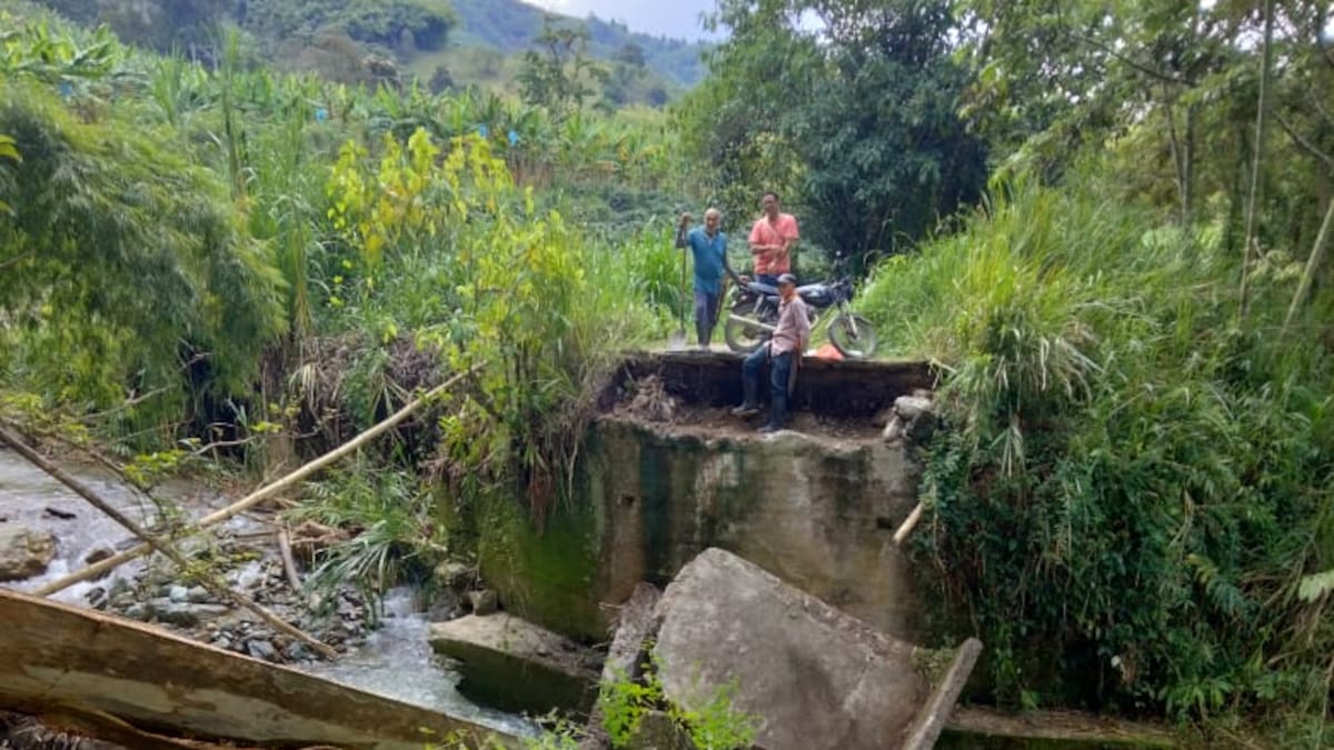Informe Puente La Sonadora