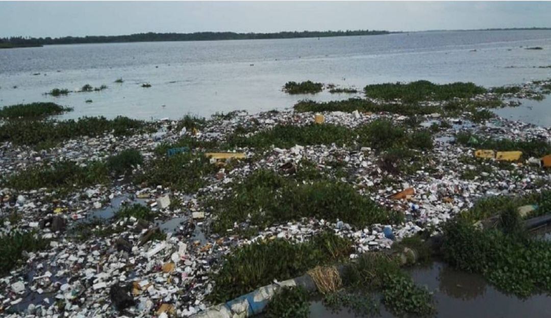 Imagen de referencia