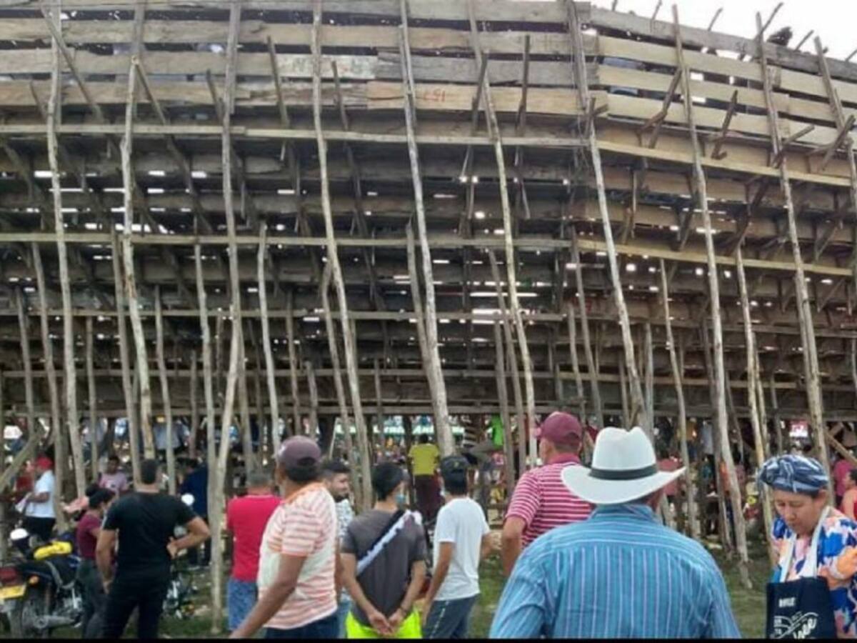 Cortolima ejercerá control al transporte de madera para la construcción de palcos en corralejas