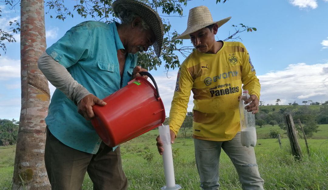 Medición del látex.