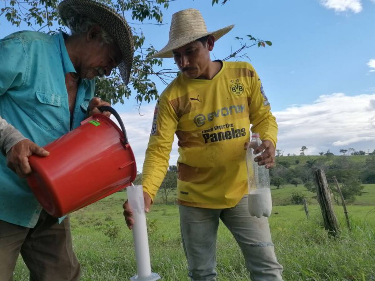 Productores de caucho natural evalúan la situación del sector