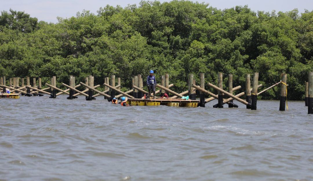 Ecoparque Mallorquín