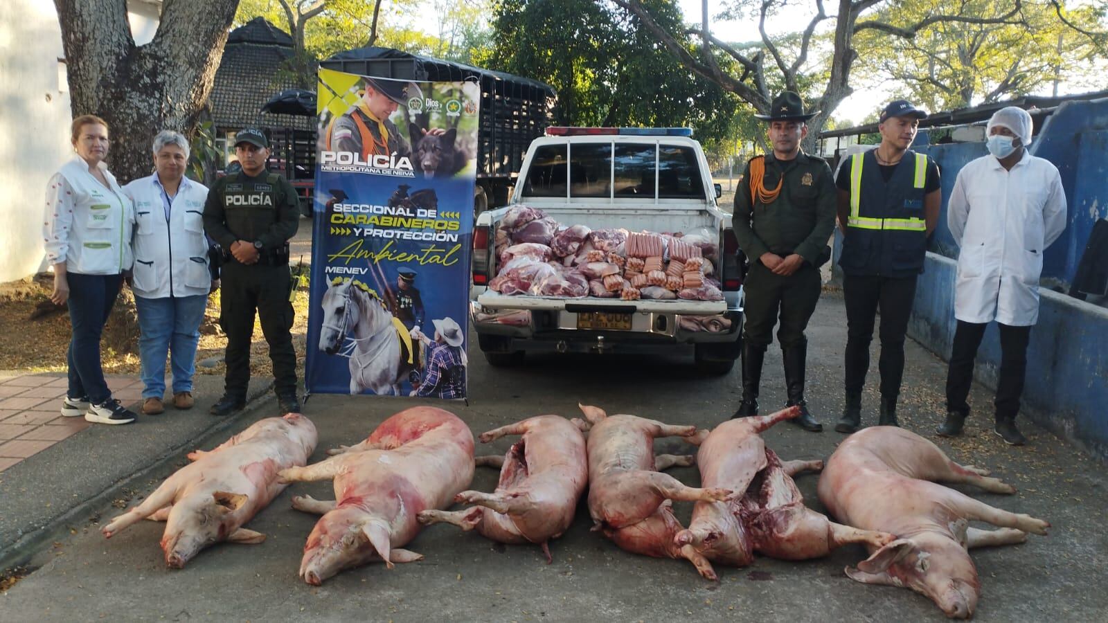 Se incautaron cerca de 900 kilos de carne de cerdo . Foto Alcaldía Neiva.