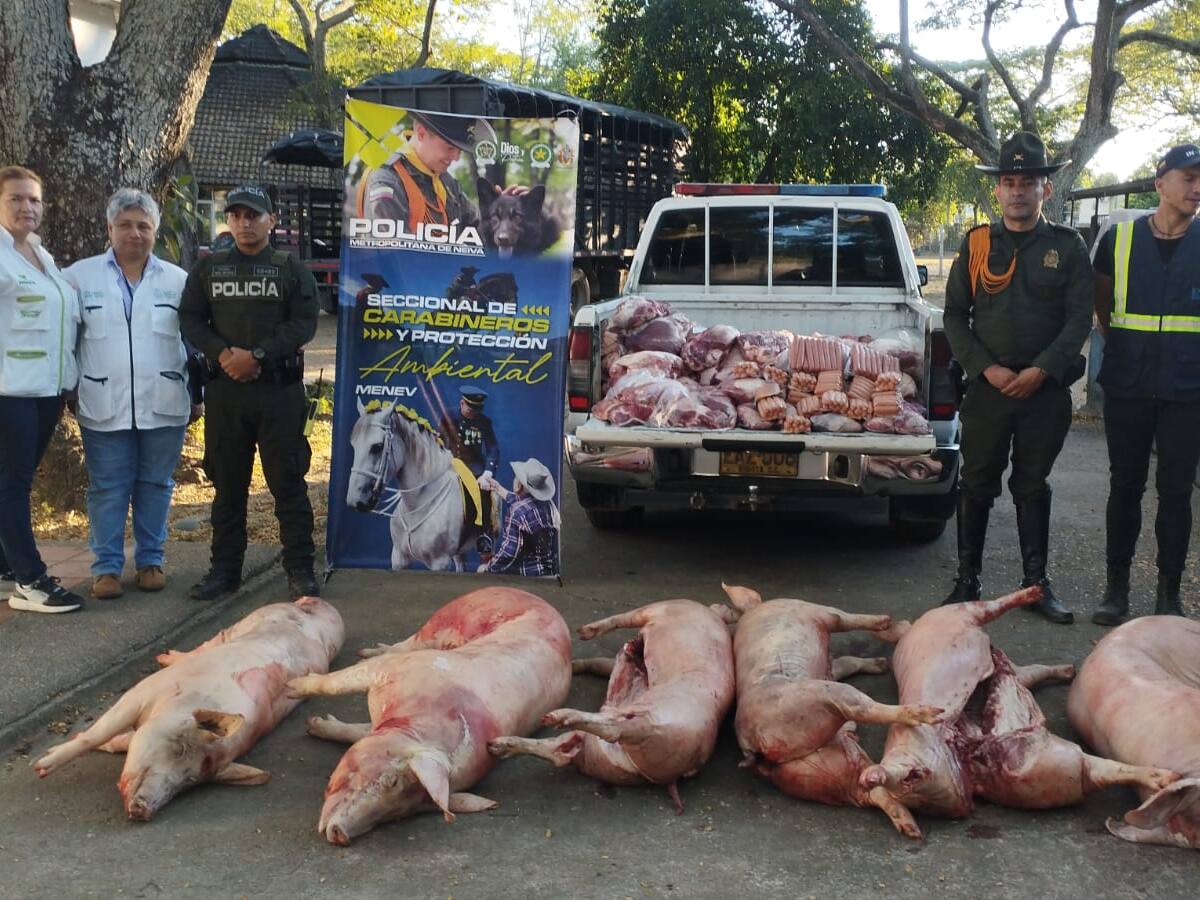 Incautan 900 kilos de carne en Neiva por irregularidades sanitarias