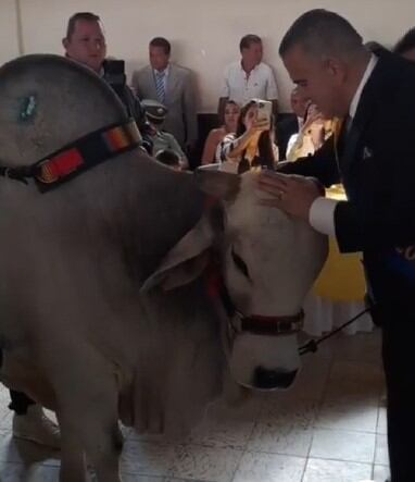 Alcalde de Filandia, Quindío, Duberney Pareja y niño, su toro cebú. Foto Cortesía Chuma Pregunta