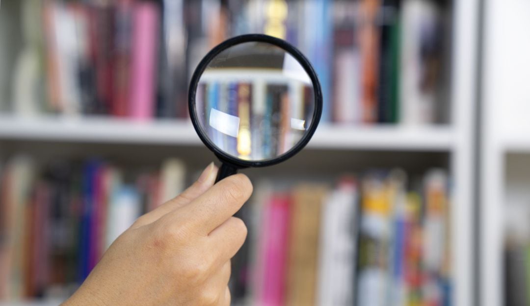 Imagen de referencia 