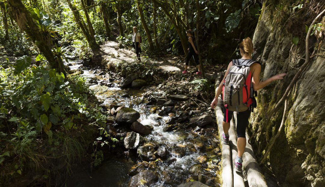 Turistas que buscan la tranquilidad y seguridad de la naturaleza