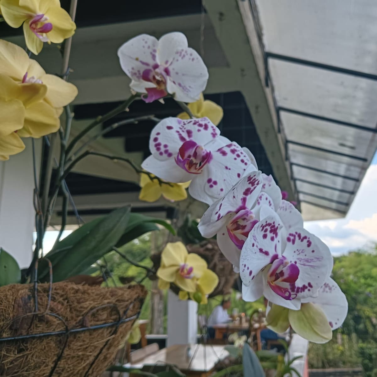 Miércoles 15 de abril, las noticias más importantes de Armenia y Quindío