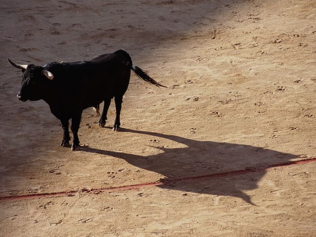 Corridas de toros, imagen de referencia. Foto: Getty Images.