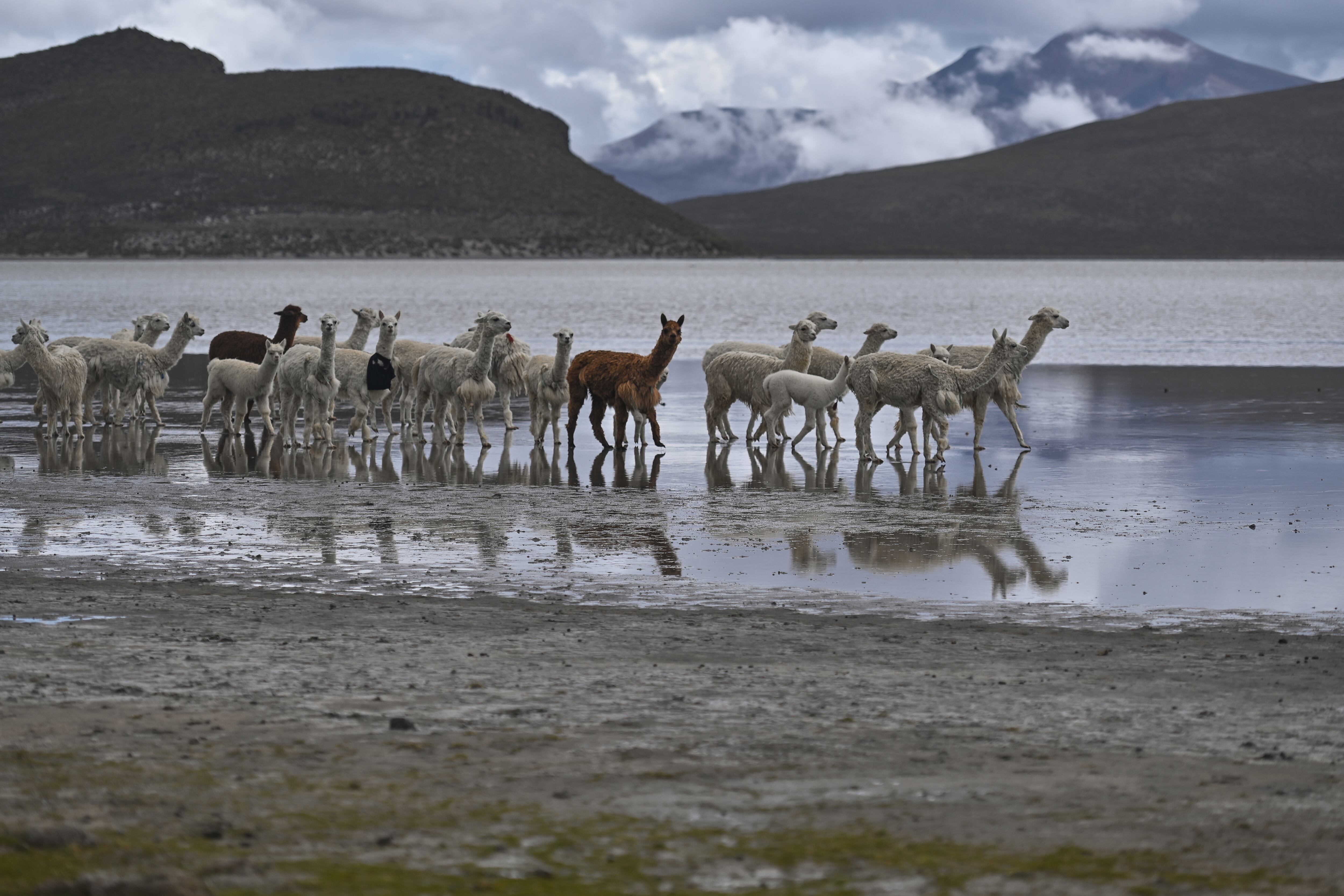 Reserva Salinas Y Aguada Blanca / Getty Images