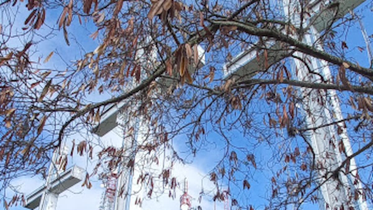 Jueves y viernes Santo en Cali con alta afluencia en sitios de peregrinación