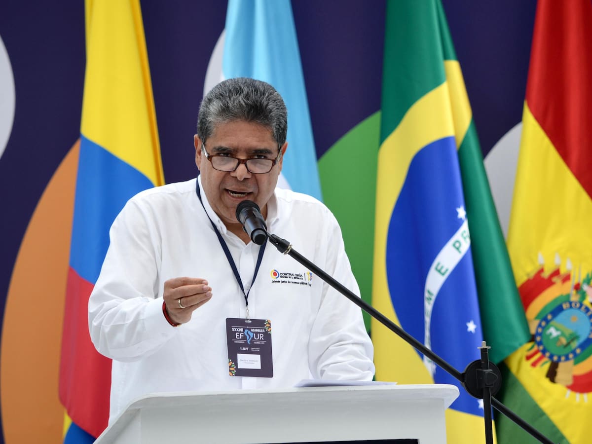 Contraloría alerta por aumento en la deforestación en Colombia