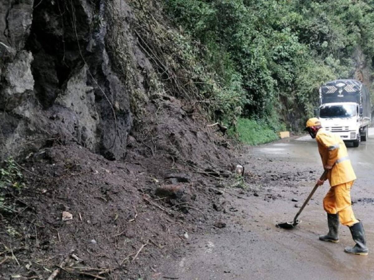 Deslizamientos afectan la movilidad en la vía al Alto de la Línea