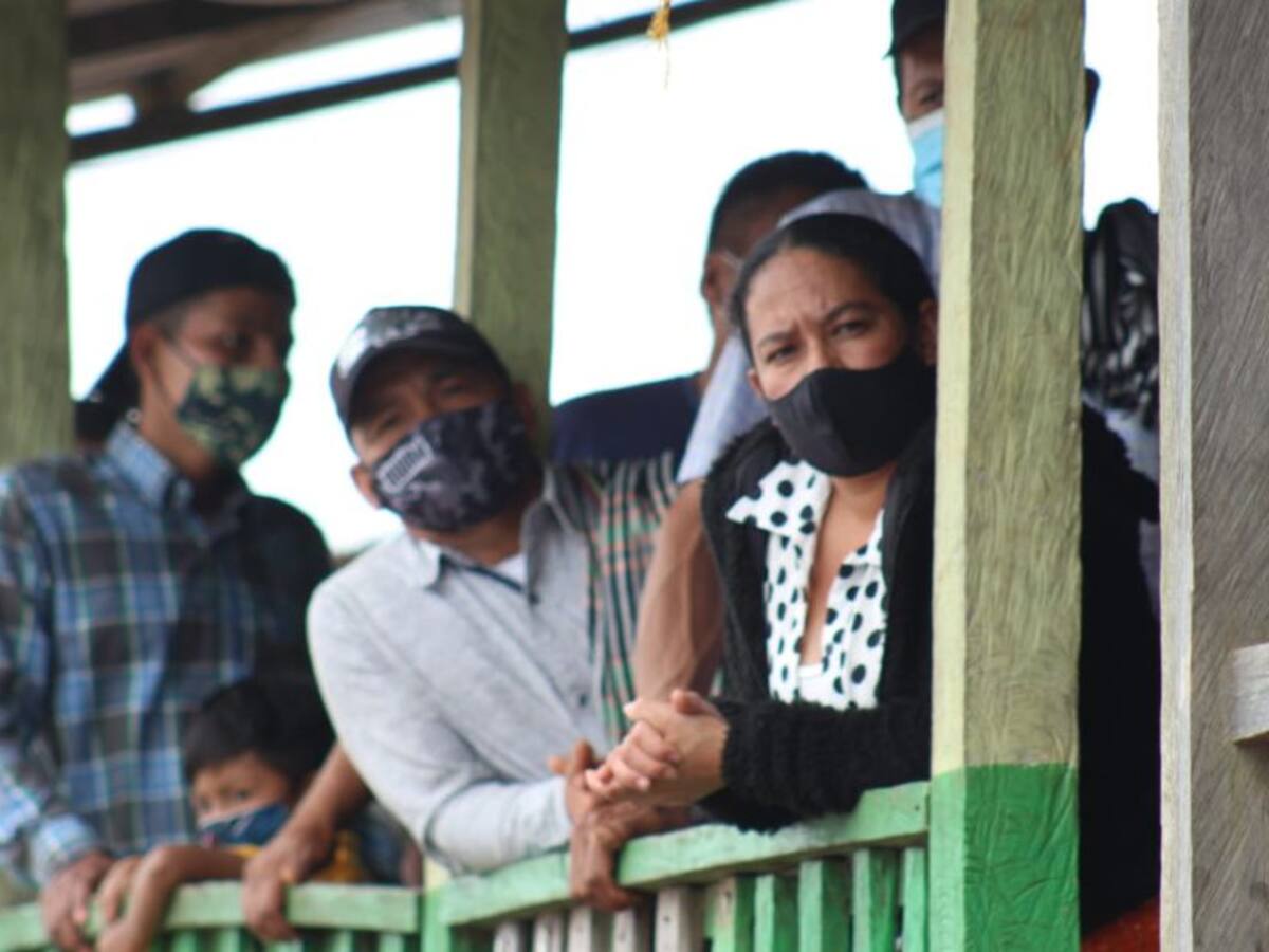 En el Tolima se impulsa la renovación de cafetales