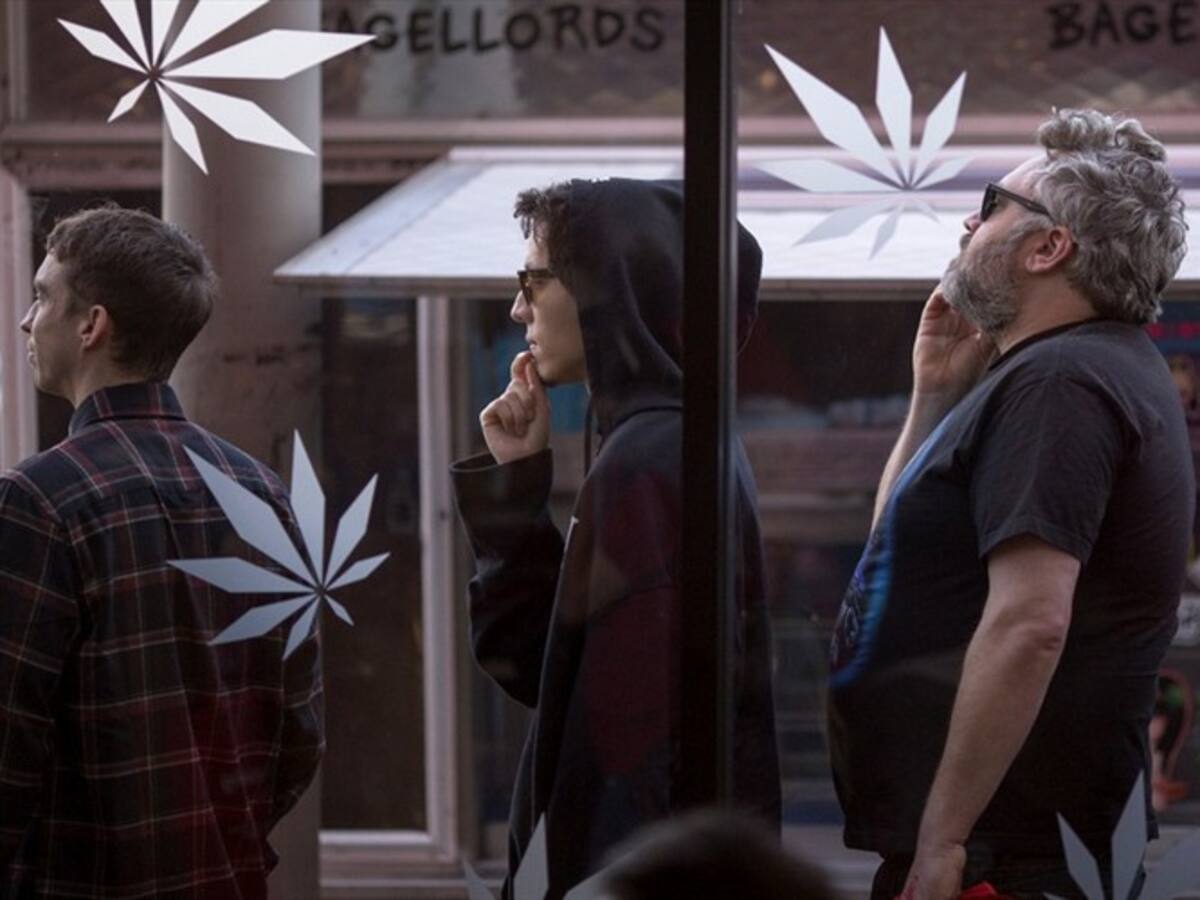 Trump amenaza la ola de legalización de la marihuana en diferentes estados