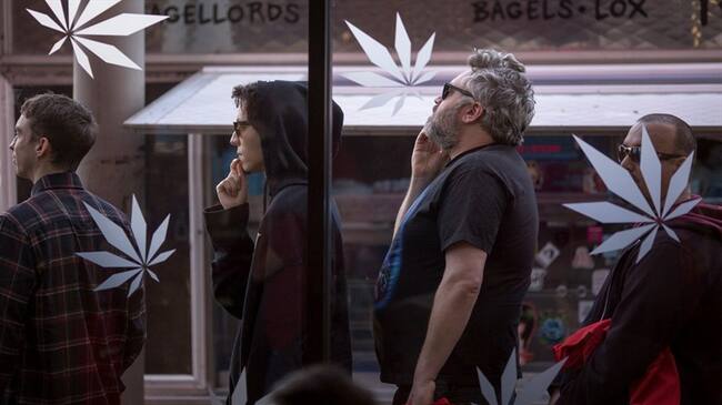 El Gobierno del presidente Donald Trump podrá interferir en el uso de la marihuana que decidan los diferentes estados. Foto: Getty Images