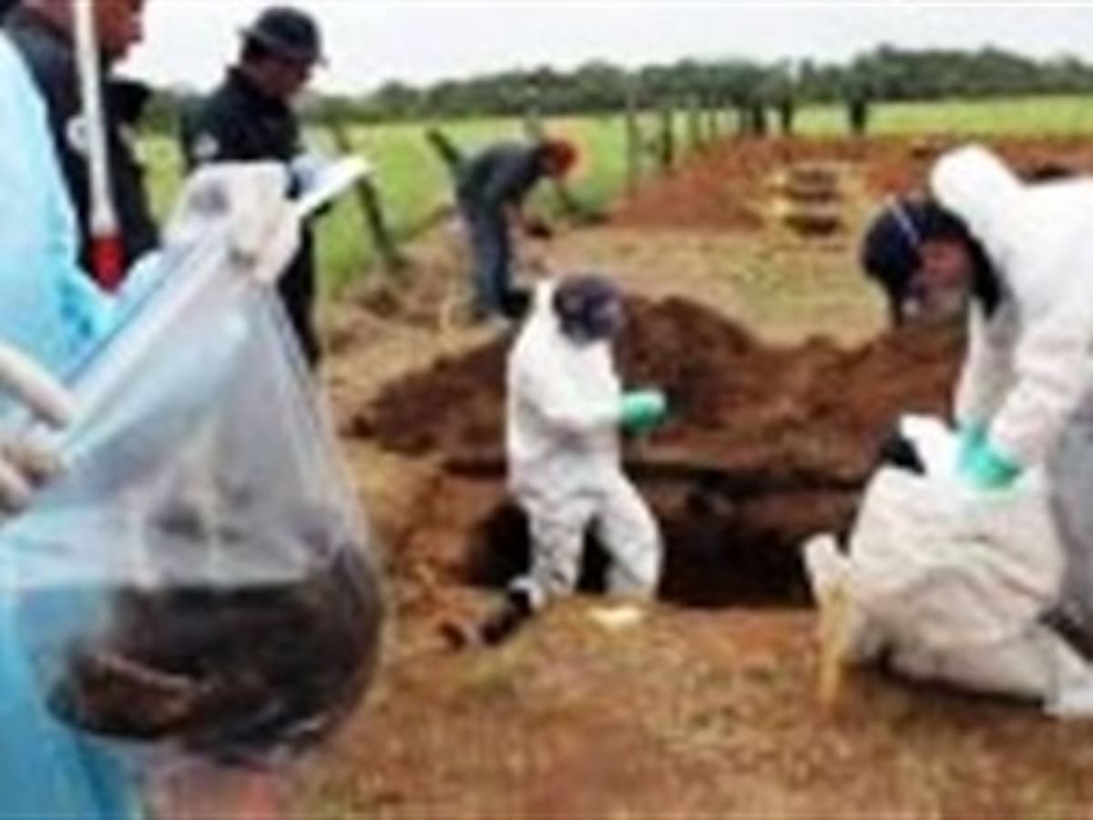 DAS encontró fosas con paramilitares reportados como desaparecidos