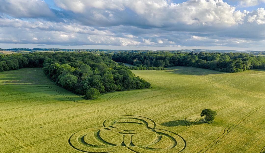 Nasa avanza en un nuevo código binario para encontrar vida extraterrestre