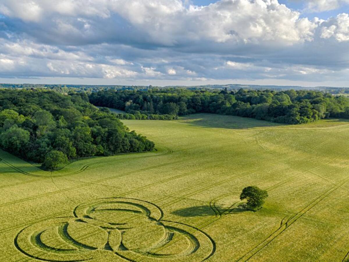 Nasa avanza en un nuevo código binario para encontrar vida extraterrestre