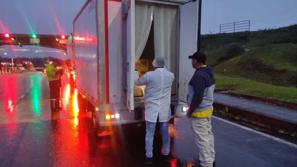 Carlos Alberto Gómez, secretario salud, Quindío