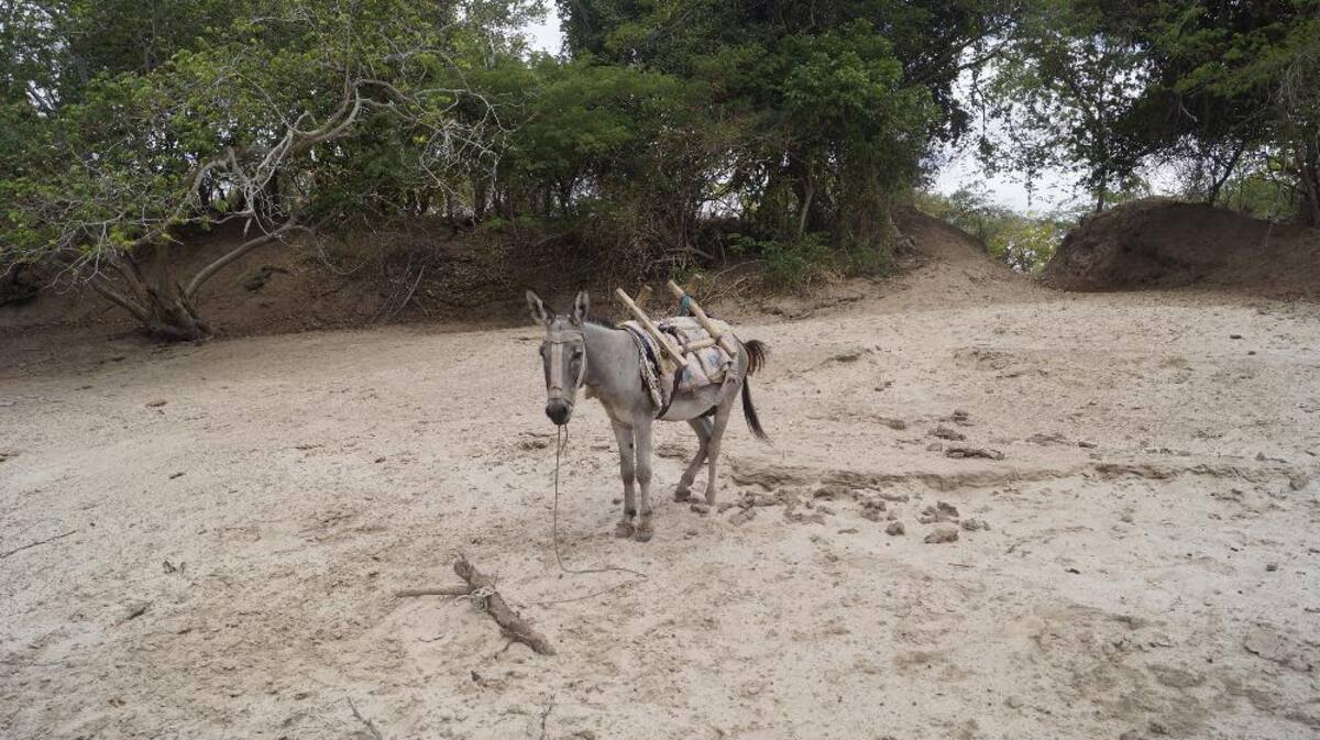 Recorrido de Caracol Radio por las zonas que aguantan sed. Fotos de Luis Enrique Rodríguez