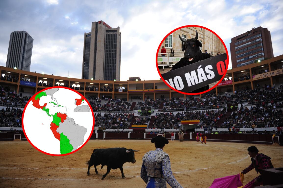 Imagen referencial sobre decisión del Congreso colombiano para prohibir a futuro las corridas de toros, y otros países que han tomado la misma vía legislativa. (Cortesía: Colprensa)