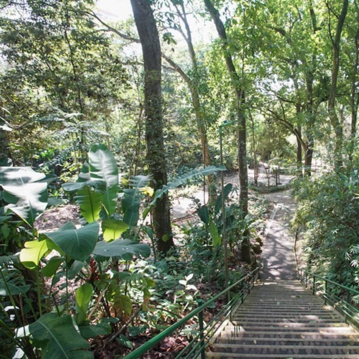 Cerraron el parque de la Flora: aquí las razones de la clausura de este espacio verde de Bucaramanga