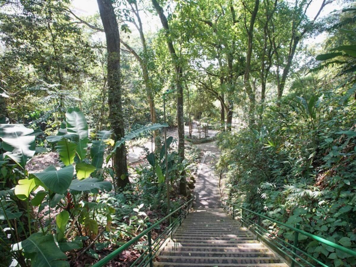 Cerraron el parque de la Flora: aquí las razones de la clausura de este espacio verde de Bucaramanga