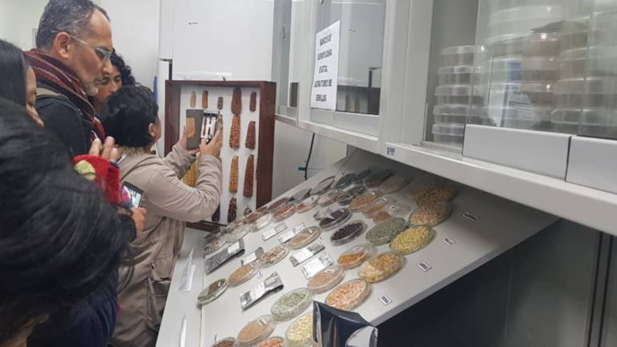 A salvar las semillas nativas de Colombia