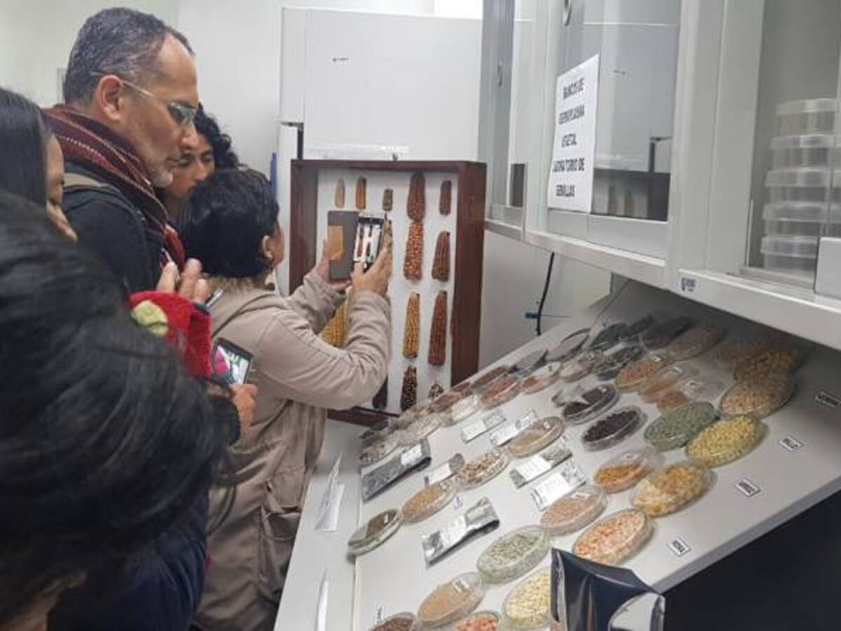 A salvar las semillas nativas de Colombia