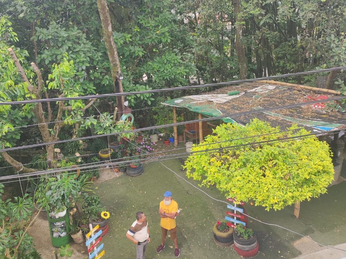 Ordenan desmonte de elementos que evitaban que consumidores se tomaran un predio en Ibagué