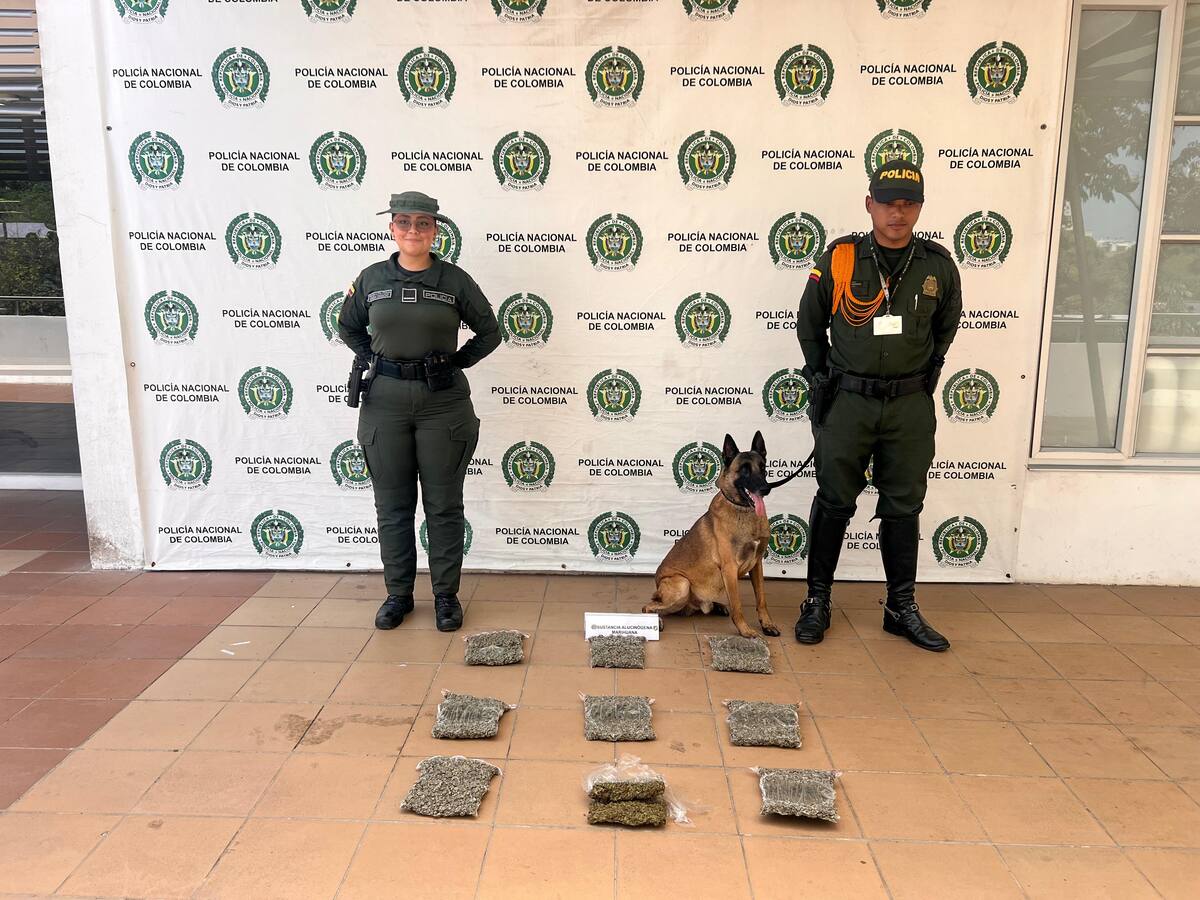 ‘Bala’ y ‘Killer’: los caninos de la Policía que han incautado 20 mil dosis de droga en Cartagena