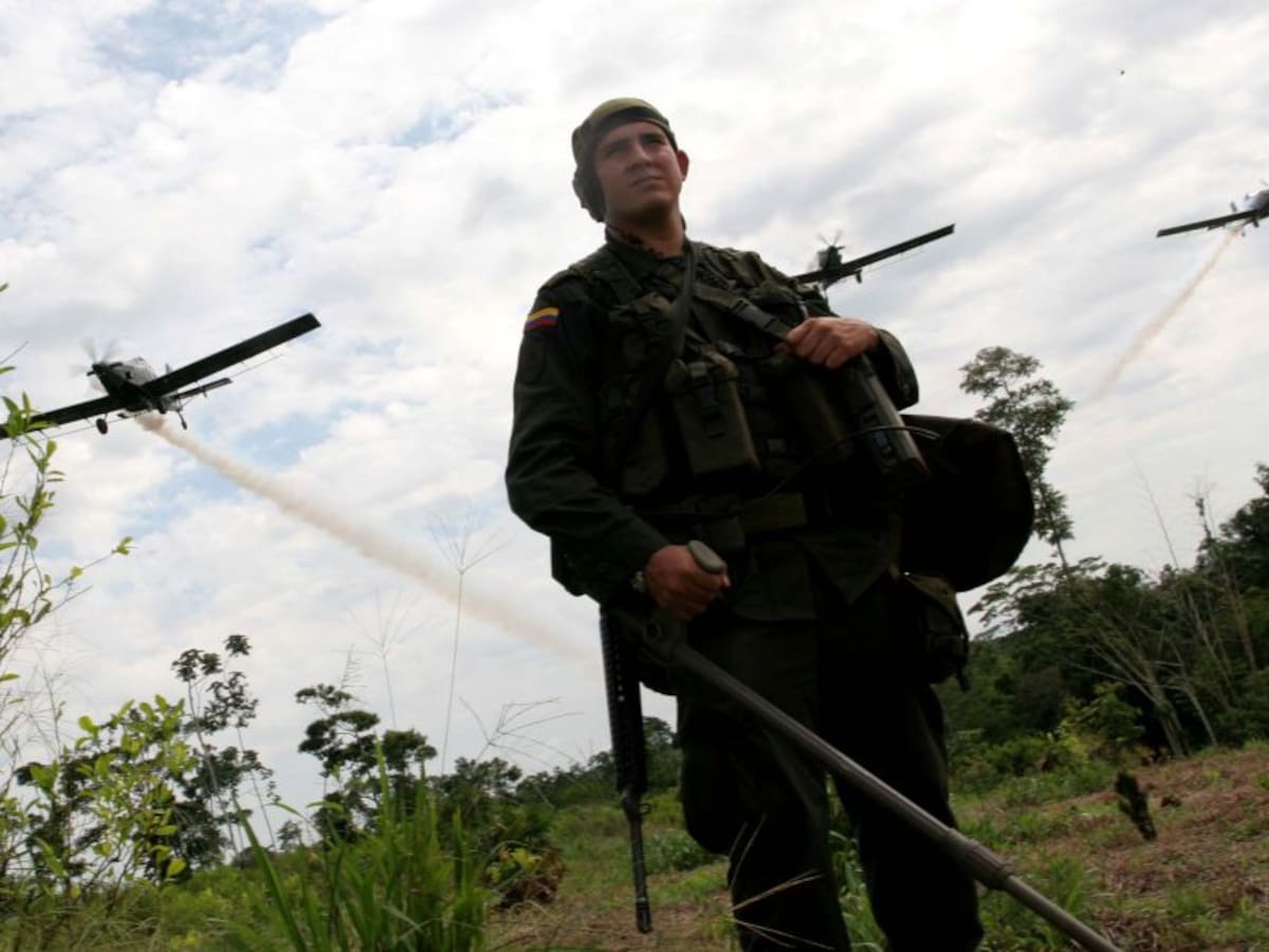 Gobierno mantendrá erradicación forzosa y aspersión en cultivos ilícitos