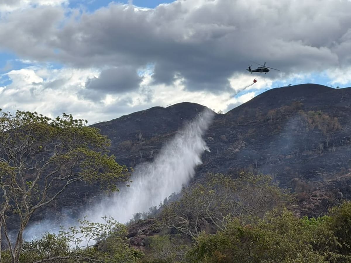 Controlan incendio forestal que consumió más de 100 hectáreas de vegetación en Ibagué
