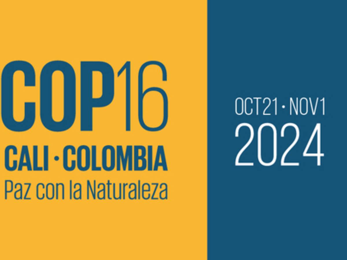 Alarma en Cali ante la amenaza de las disidencias de las Farc a la COP16