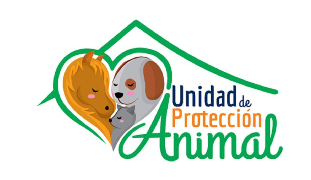 Denuncia