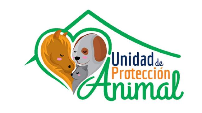 Denuncia