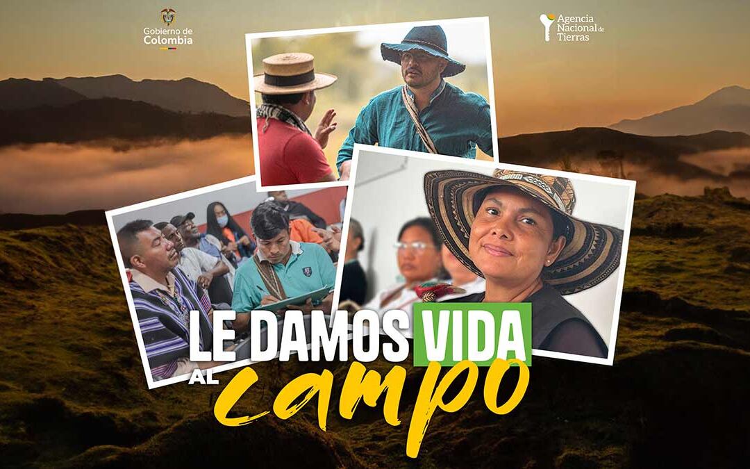 ANT invirtió más de $2.460 millones en seguridad alimentaria en cinco departamentos