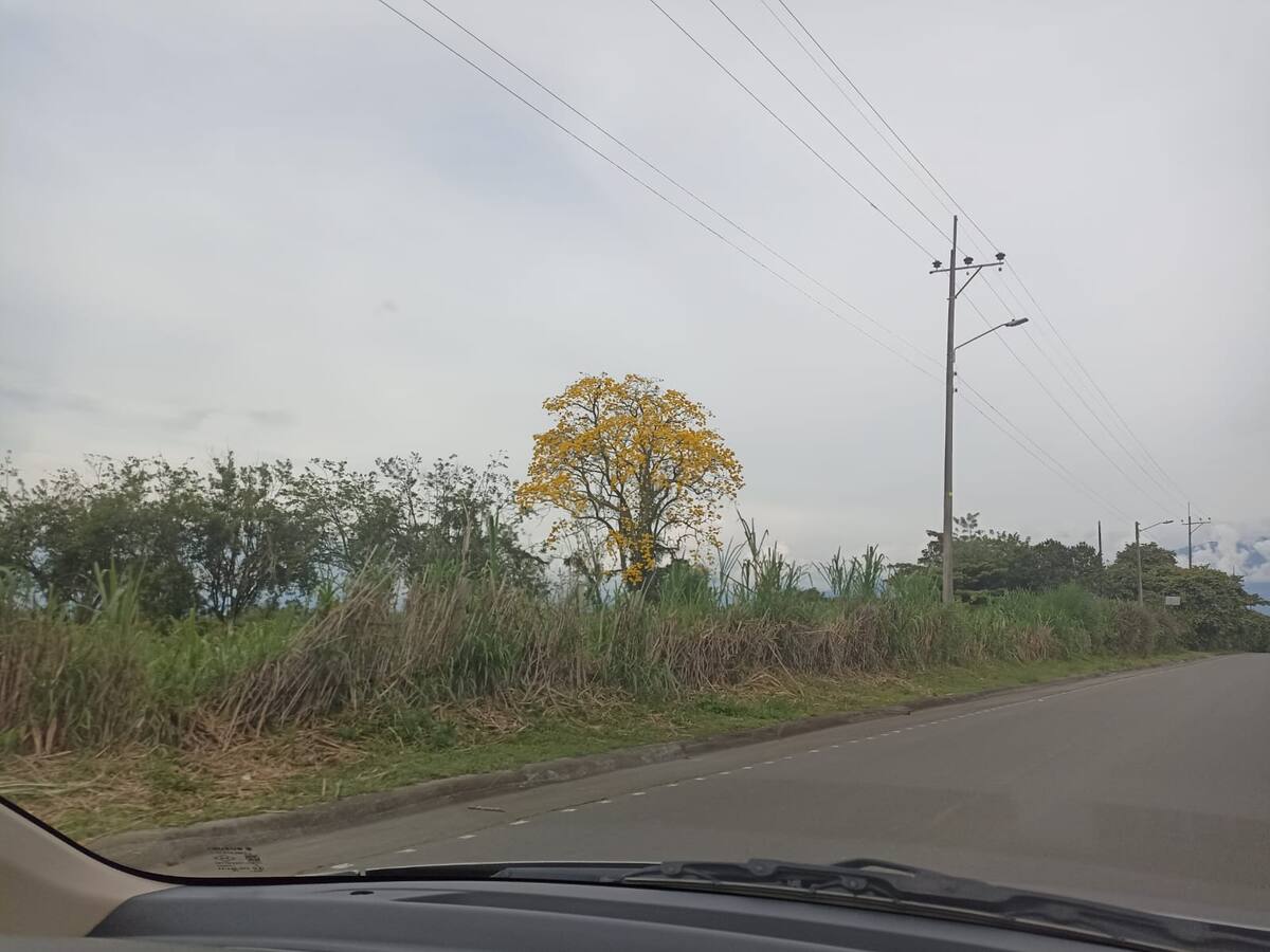 Lunes 24 de abril, las noticias más importantes de Armenia y Quindío