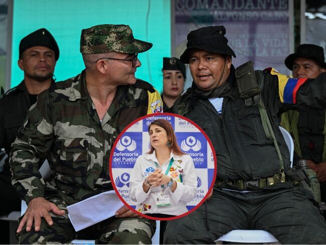 Alias 'Iván Mordisco' y alias 'Calarcá'