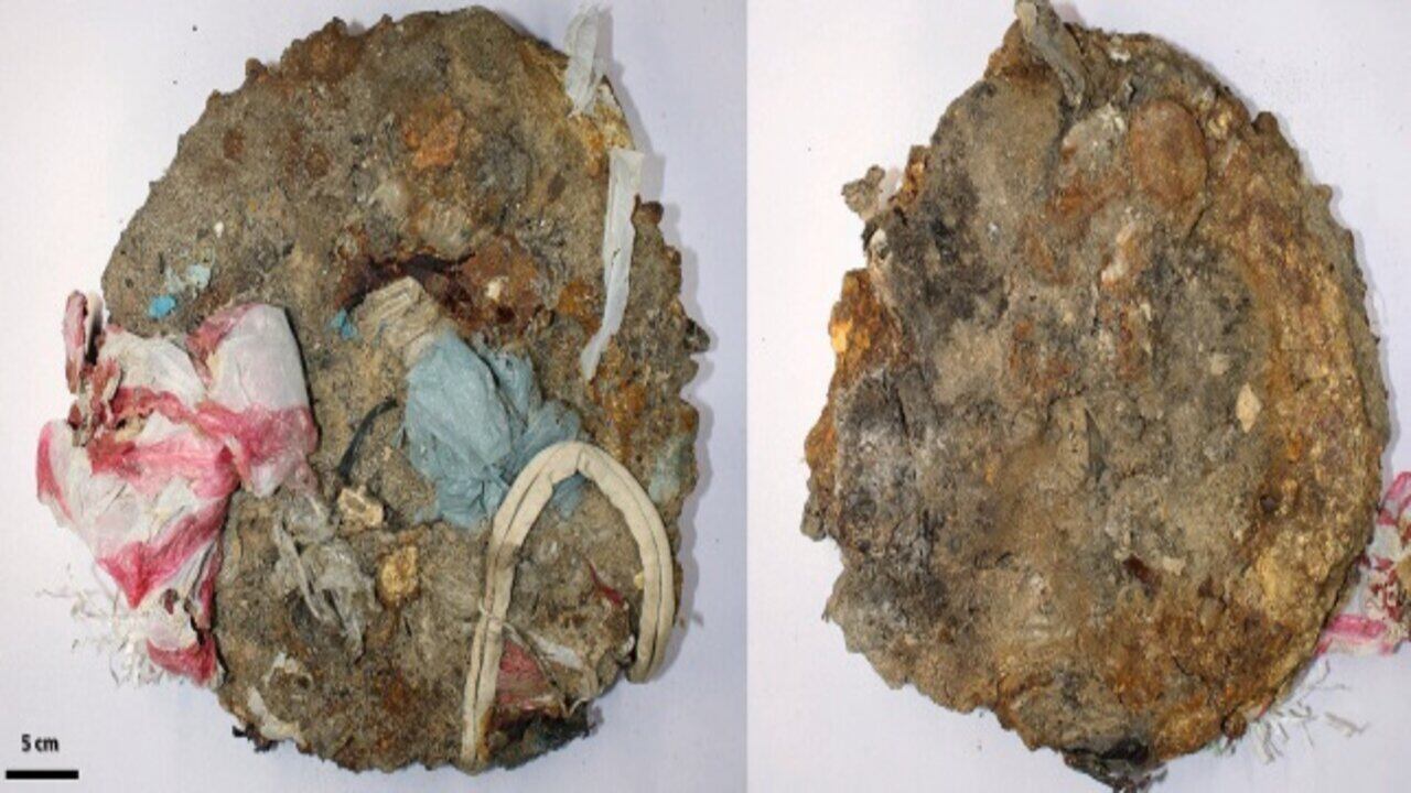 Foto: Universidad del Norte