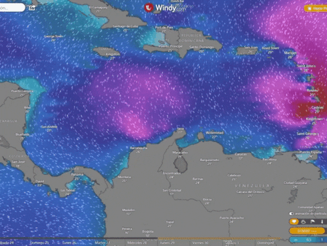 Proyección del oleaje en la costa del sur del Caribe entre el 23 y el 26 de junio del 2023. 
(Cortesía: Windy)