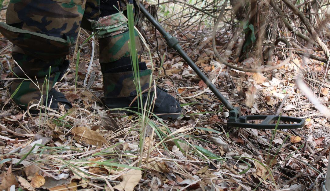 imagen de referencia