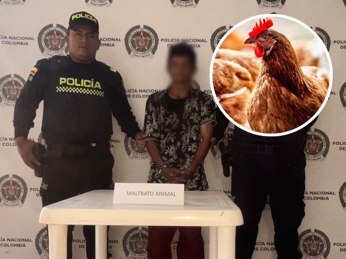 Indignación en el Tolima por caso de un hombre señalado de abuso sexual a una gallina