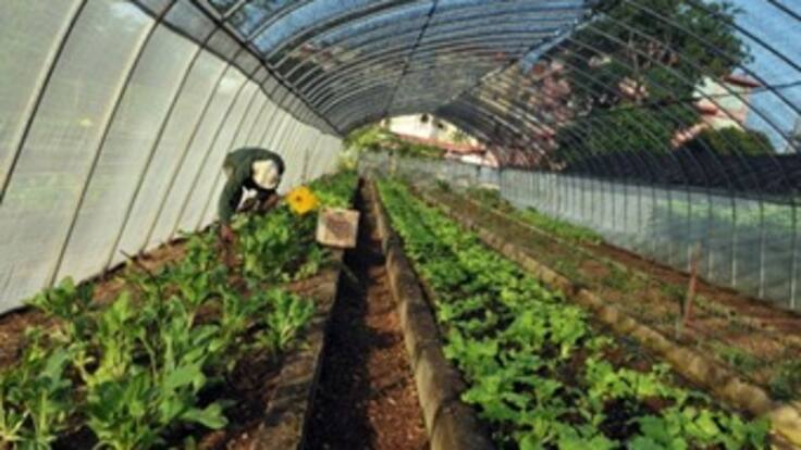 "Los alimentos son el reflejo de la salud del planeta " Rafael Hernández. Agricultura sana