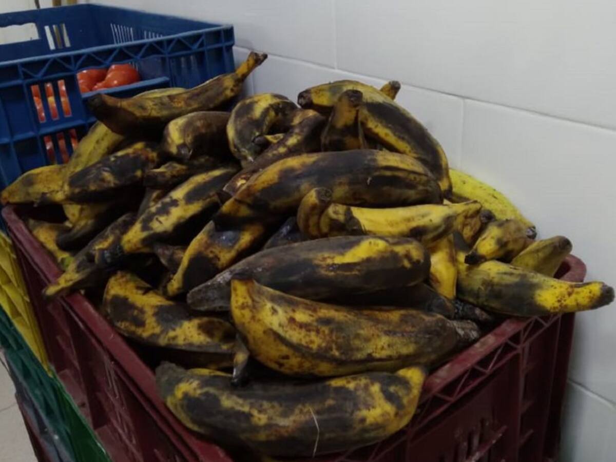 Los incumplimientos con el PAE, coincidencia de los operadores: Contraloría