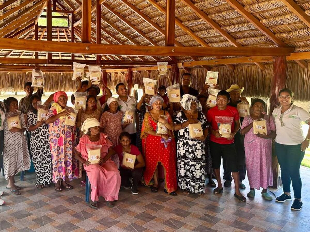 SENAHARINA: el proyecto del SENA que combate la desnutrición Wayuu con innovación y ciencia