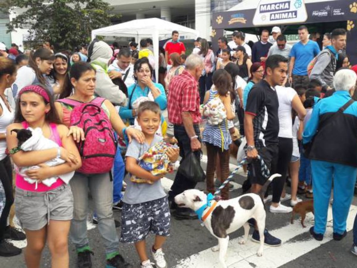 En varias ciudades del país habrá marchas para defender los derechos de los animales