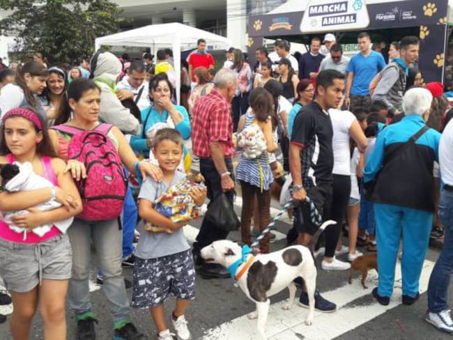 En varias ciudades del país habrá marchas para defender los derechos de los animales